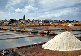 P-FL-M-22-2546 :  BATZ-SUR-MER MARAIS SALANTS - Batz-sur-Mer (Bourg De B.)