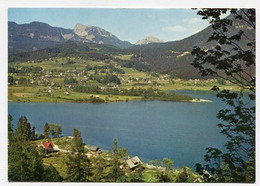 AK 032489 AUSTRIA - Steeg - Ober- Und Untersee Am Hallstätter See - Bad Goisern