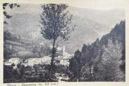 Cartolina - Ottone ( Piacenza ) - Panorama - 1951 - Piacenza