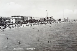 Cartolina - Senigallia - Spiaggia - 1956 - Ancona
