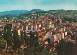 Campobasso - Panorama - Formato Grande Non Viaggiata – FE390 - Campobasso