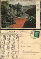 Ansichtskarte Witzenhausen Der Rote See Mit Forsthaus - Colorierte AK 1938 - Witzenhausen