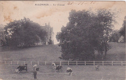 72 - ALLONNES -  PRAIRIE ET LE CHATEAU DE LA FORETERIE ( FORESTERIE ) PRES DU MANS - Allonnes