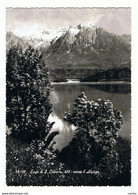 LAGO  DI  S. CROCE (BL):  VERSO  L'ALPAGO  -  FOTO  -  FG - Invasi D'acqua & Impianti Eolici