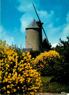 Piriac Sur Mer * Le Moulin à Vent De La Petite Gare * Molen - Piriac Sur Mer