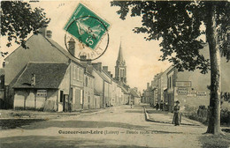 Ouzouer Sur Loire * Entrée De La Route D'orléans - Ouzouer Sur Loire