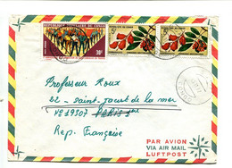 CONGO Boko 1972  - Affranchissement Sur Lettre Par Avion Pour La France - Fruit - Other & Unclassified