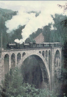 Chemins De Fer Rhétiques, Train à Vapeur Sur Le Viaduc De Wiesen, Photo 1969 BVA RhB 116.7 - Wiesen