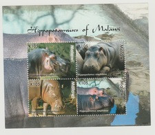 Malawi 2009 Hippopotamus Hippopotame Nilpferd Fauna Fauna Souvenir Sheet Bloc Block MNH** - Altri & Non Classificati