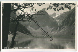 Seealpsee Mit Säntis - Foto-Ansichtskarte - Verlag Hans Gross St. Fiden-St. Gallen - Other & Unclassified