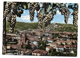 Italie -- CANELLI -- 1966---Panorama  (raisins) ................timbres....cachet..............à Saisir - Asti