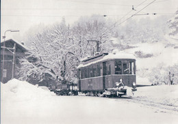 Chemin De Fer Suisse Bex-Villars-Bretaye, Train Au Pont Neuf Sous La Neige, Photo 1985, BVA BVB 159.4 - Villars-les-Moines