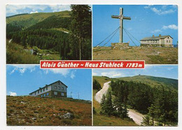 AK 032637 AUSTRIA - Steinhaus Am Semmering - Alois Günterhaus - Steinhaus Am Semmering