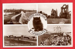 ARBROATH    MULTI VIEW  INC FISHING FLEET   SWIMMING BATHS - Angus