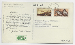 NOUVELLE CALEDONIE 60C+40C CARTE PUB IONYL NOUMEA 15.12.1954 - Storia Postale