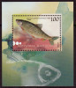 Macedonia 2007 Fauna Fishes Leuciscus Cephalus, Block, Souvenir Sheet MNH - Macedonië