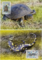 Cartes Maximum (2) 2009 Tortue Salamandre / Maximum Cards (2) Salamander Turtle - FDC