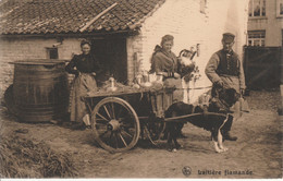 Laitière Flamande - Boerderijen