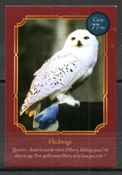 IM594 - Carte Harry Potter Auchan 2021 N°77/90 Hedwige - Harry Potter
