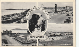WEYMOUTH MULTI VIEW - Weymouth