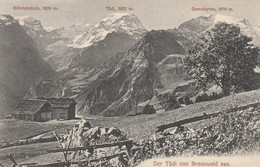 DER TODI VON BRAUNWALD AUS - Braunwald