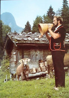 FLÜHLI Alphütte Kühe Betruf Senn - Flühli