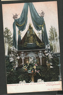 S Hertogenbosch - Rond 1910 - St.Janskerk - Wonderbeeld De O.L Vrouwe Van Den Bosch - 's-Hertogenbosch
