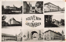 Souvenir De Colombier Vues Multiples - Colombier