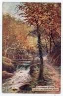 LYNTON - Footbridge Near Watersmeet - G,H, Jenkins - Tuck OIlette 7777 - Lynmouth & Lynton