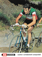 PHOTO RENFORCE, FELICE GIMONDI 1972 FORMAT 18 X 24 ) - Cycling