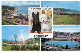 ISLE OF BUTE : A DOUBLE SCOTCH FROM ROTHESAY (MULTIVIEW - SCOTTIE DOGS) - Bute