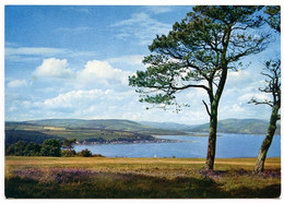 ISHE OF BUTE : ROTHESAY BAY FROM CANADA HILL (10 X 15cms Approx.) - Bute