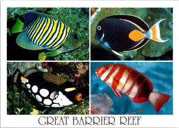 (3 F 20) Australia - Bird Stamp - QLD - Great Barrrier Reef Fish - Great Barrier Reef