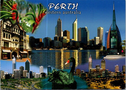 (3 F 20)  Australia - WA - PERTH (with Thylacine Postage Stamp) - Perth