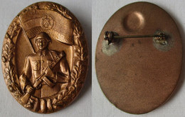 DDR Orden NVA Nationale Volksarmee Leistungsabzeichen Bronze 152c (152746) - RDA