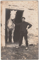 Carte Photo    Cheval Sans Garantie   Gh29 - Photos