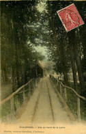 Chalonnes Sur Loire * 1907 * Site Au Bord De La Loire * Ligne Chemin De Fer * Cpa Toilée Colorisée - Chalonnes Sur Loire