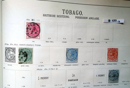 Schöne Hochwertige Briefmarkensammlung Trinidad & Tobago 1851 Bis 1922 - Trinidad & Tobago