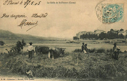 St Florent * 1906 * Le Golfe , Scène Agricole * Les Foins ! Fenaison * Agriculture * Haute Corse 2B - Andere & Zonder Classificatie