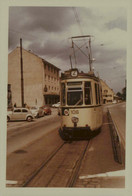 Reproduction - FREIBURG (Fribourg) - Tramway - Trains