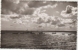 Manche : SAINT VAAST  La  HOUGUE : Reville , Le Port à Contre  Jour - Saint Vaast La Hougue