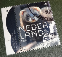 Nederland - NVPH - Xxxx - 2019 - Gebruikt - Beleef De Natuur - Bunzing - Tab - Gebruikt