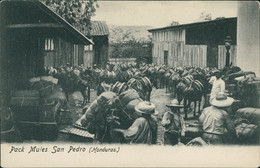 HN  SAN PEDRO SULA  / Pack Mules / CARTE ANIMEE - Honduras
