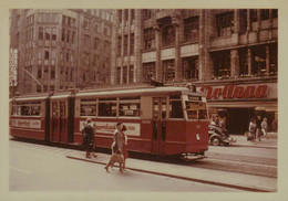 Reproduction - HAMBURG (Hambourg) - Tramway - Trains