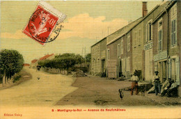 Montigny Le Roi * Avenue De Neufchâteau * Café Restaurant * Graineterie * Cpa Toilée Colorisée - Montigny Le Roi