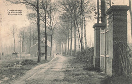 CORTENBERG - De Bikelstraat - Vue Sous Bois - Kortenberg