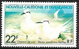 New Caledonia - MNH ** 1978 :  Black-naped Tern -   Sterna Sumatrana - Gabbiani