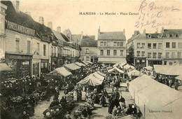 Mamers * La Place Carnot * Vue Sur Le Marché * Porcelaine , Atelier BERGER GALLET - Mamers