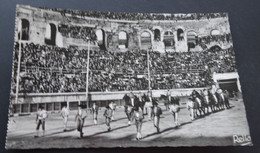 Nimes (Gard) - Course De Taureaux Aux Arènes Romaines - Le Paséo - Corrida