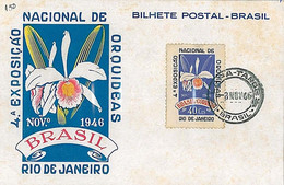 14106 - BRAZIL - Postal History - MAXIMUM CARD - FLOWERS: ORCHIDS  1946 - Maximumkarten